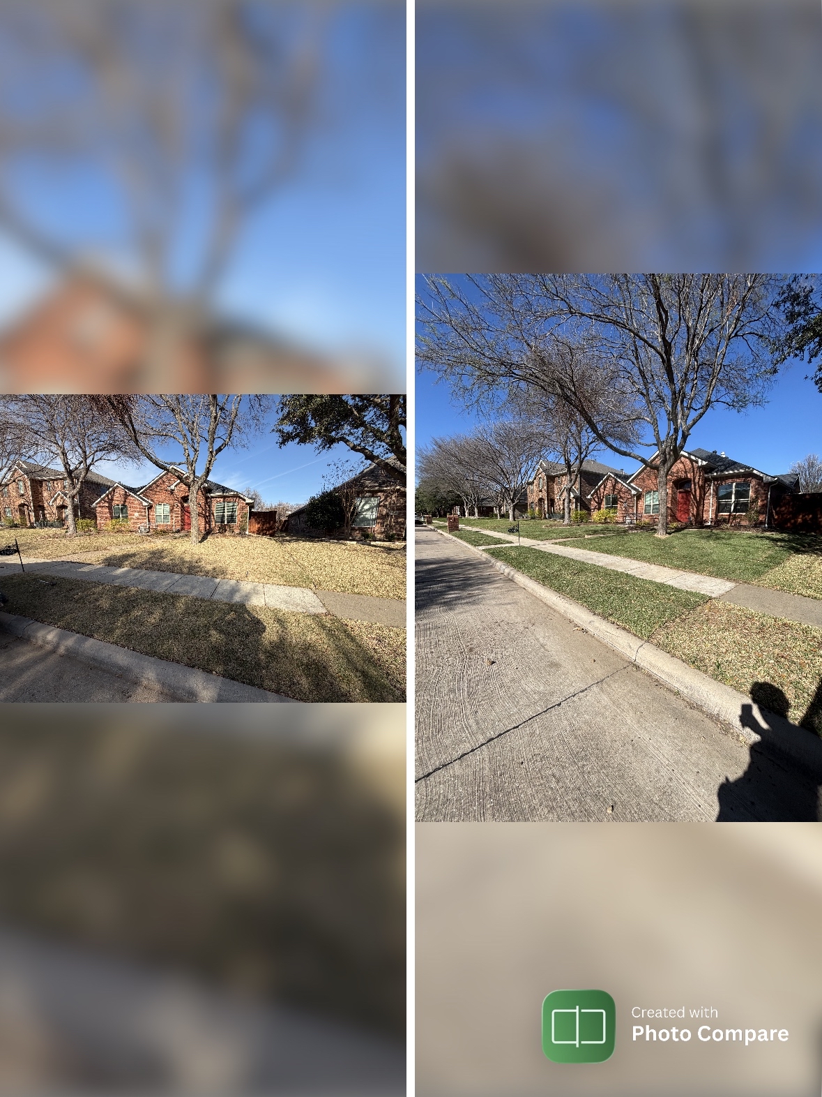 R&R before-and-after collage: a Garland backyard cleared, leveled and sodded
