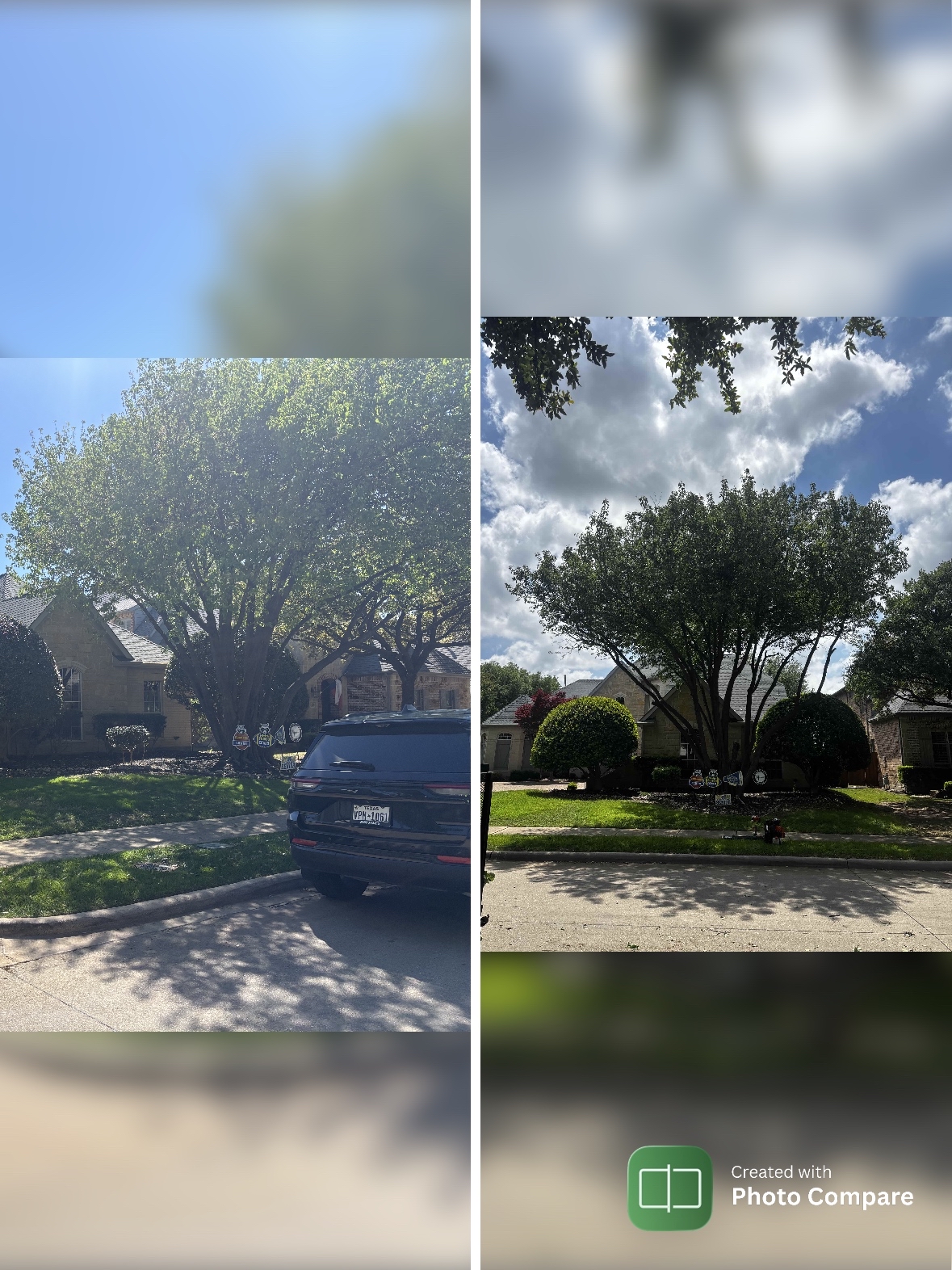 R&R before-and-after collage: a McKinney whole-yard transformation with sod, beds and mulch