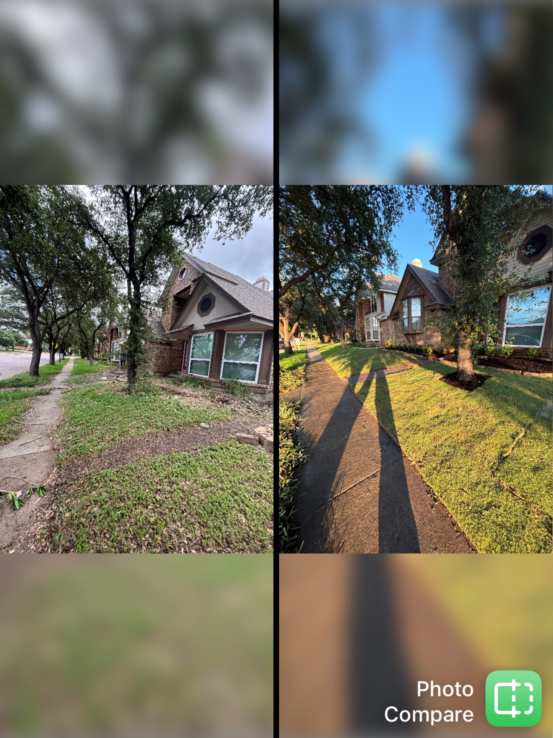 Green manicured lawns in a Dallas neighborhood