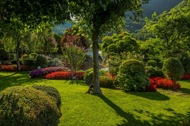 A lush ornamental garden