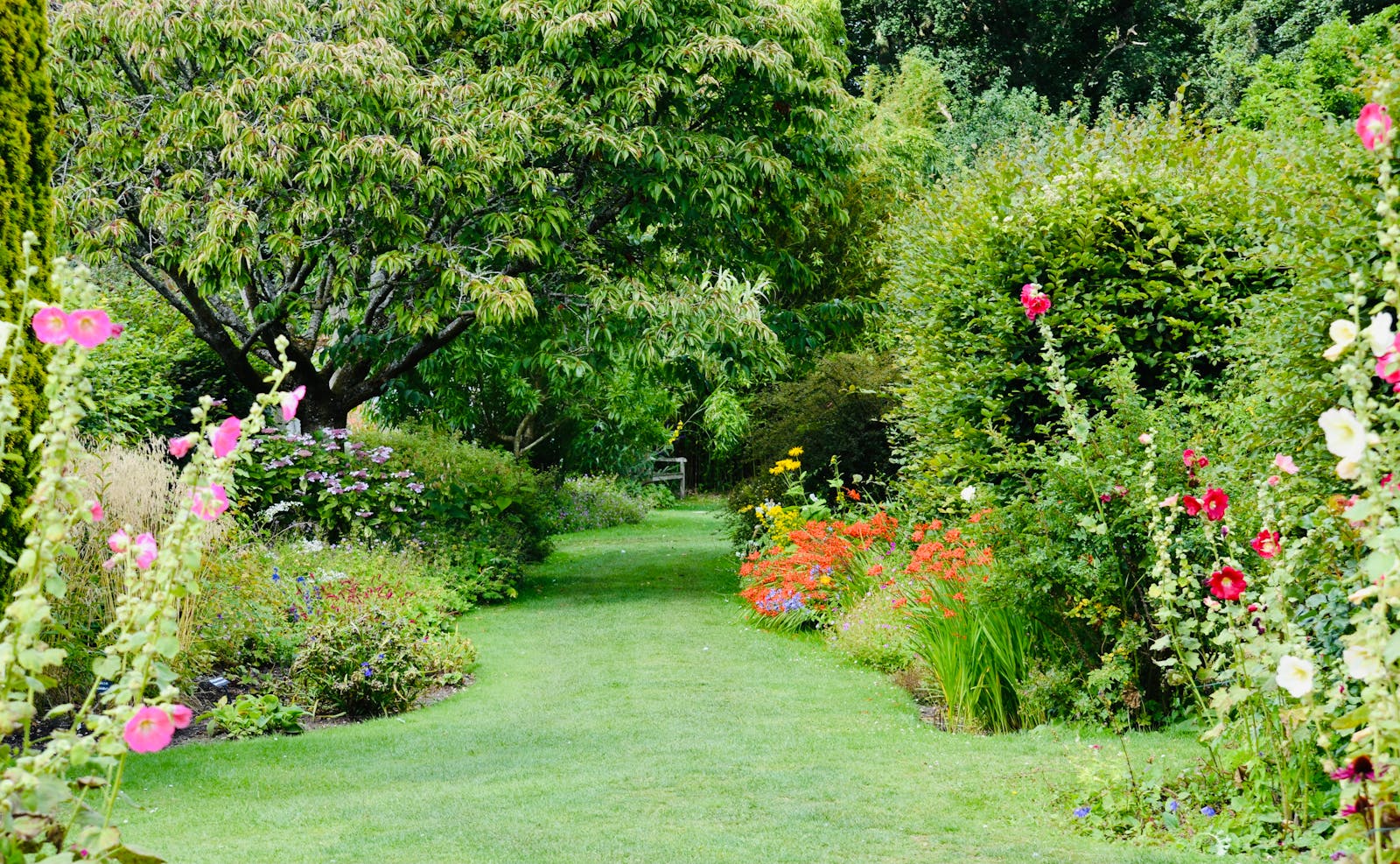Manicured flower beds along a garden walkway