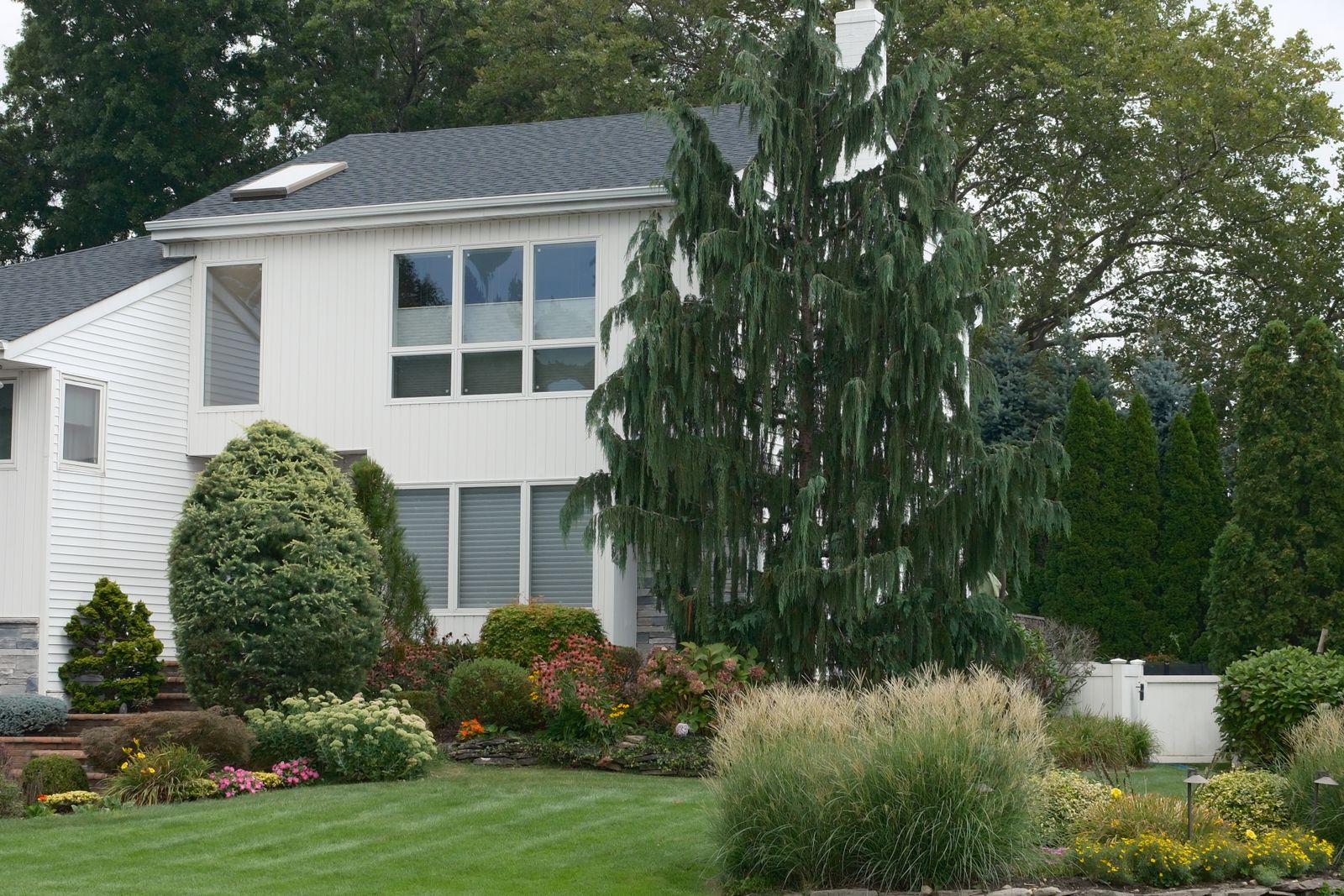 Refreshed front yard with crisp lawn, edged beds and tidy shrubs