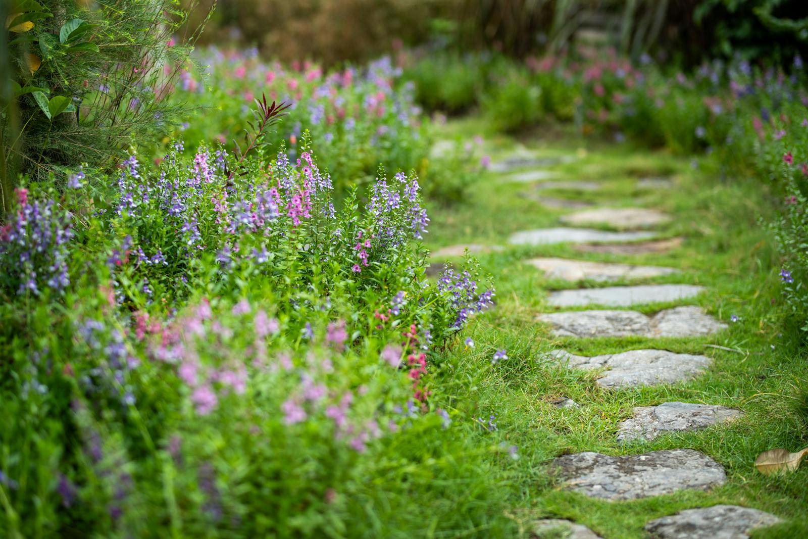 Stone garden pathway bordered by layered plantings and ground cover