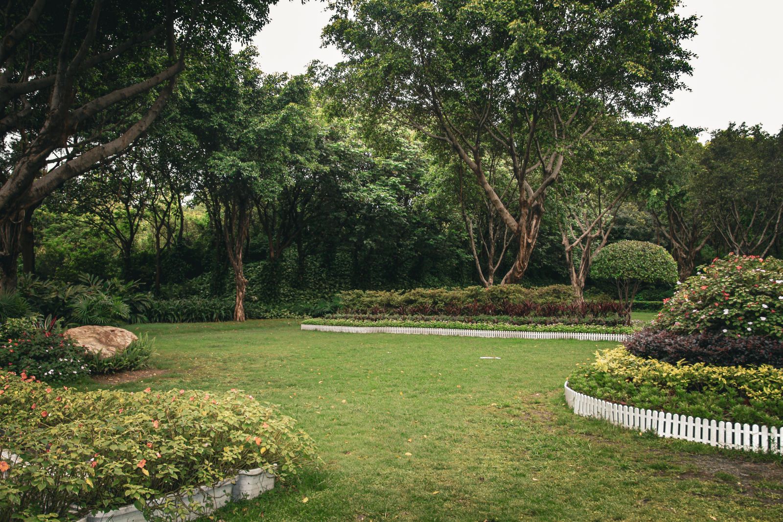 A landscaped yard with curved beds and manicured lawn