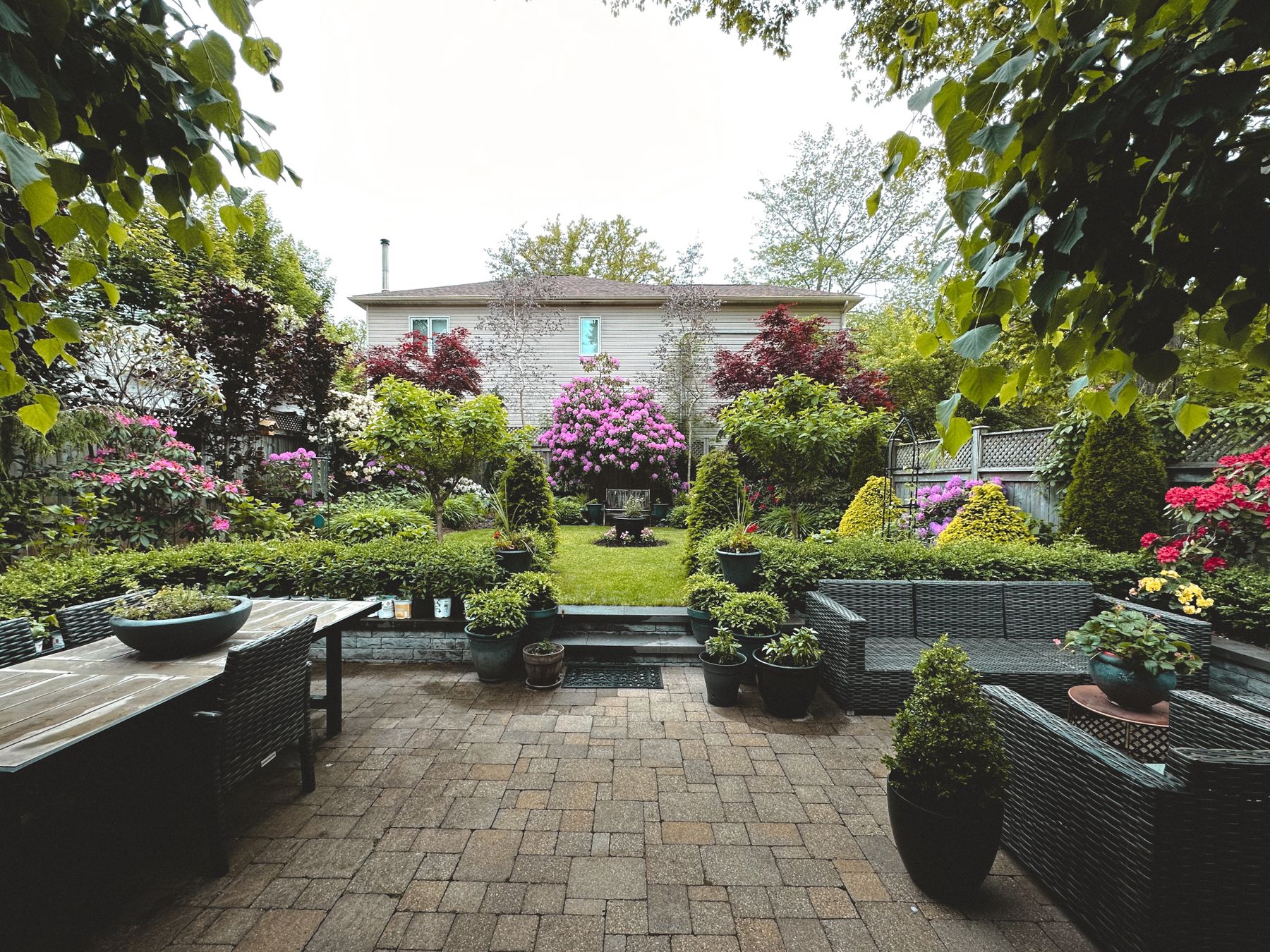 A finished, fully landscaped backyard with patio, plants and lawn