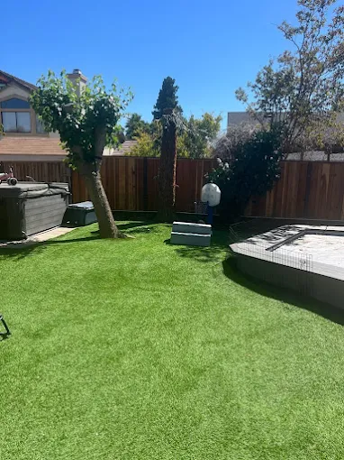 Lush backyard lawn with a spa